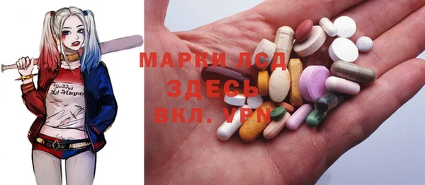 прущие грибы Волосово