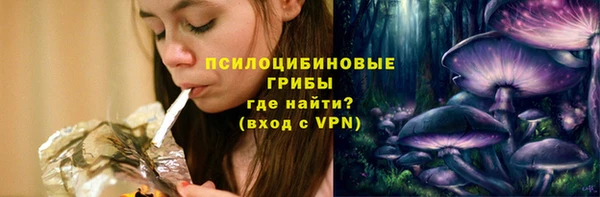 прущие грибы Волосово