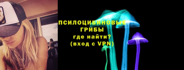 прущие грибы Волосово