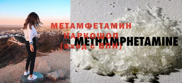 прущие грибы Волосово