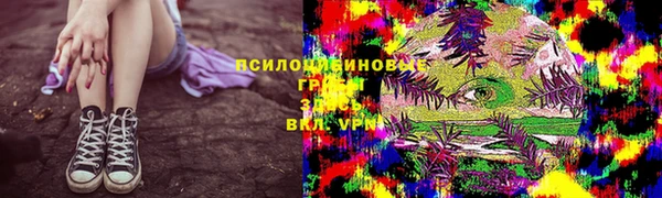 мдпв Володарск