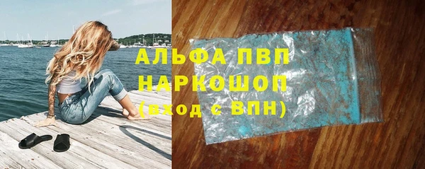 прущие грибы Волосово