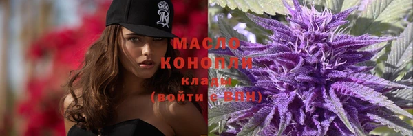 мдпв Володарск
