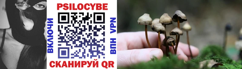 shop телеграм  Калининец  Галлюциногенные грибы Psilocybine cubensis 