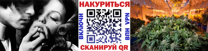 Каннабис сатива Калининец